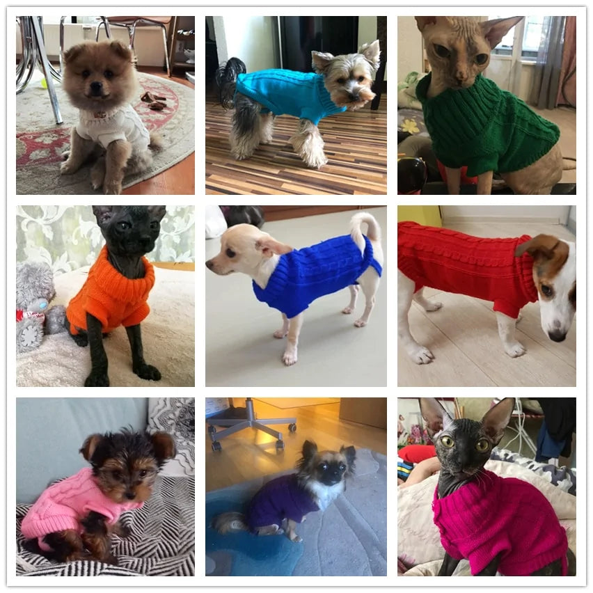 Pet Jumper - Dogs & Cats