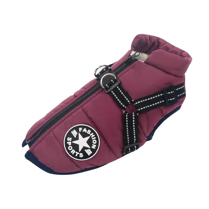 Stylish Comfort Pet Vest