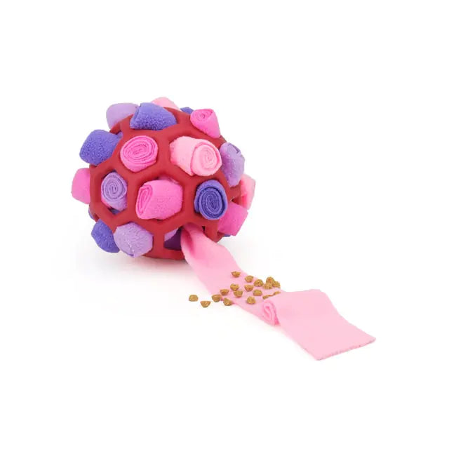 Dog Sniff Treat Ball