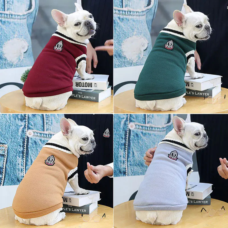 College Style Dog Jumper