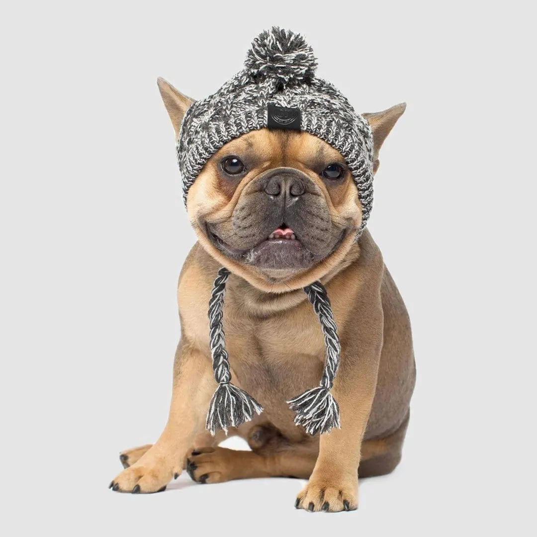 Dog Beanie