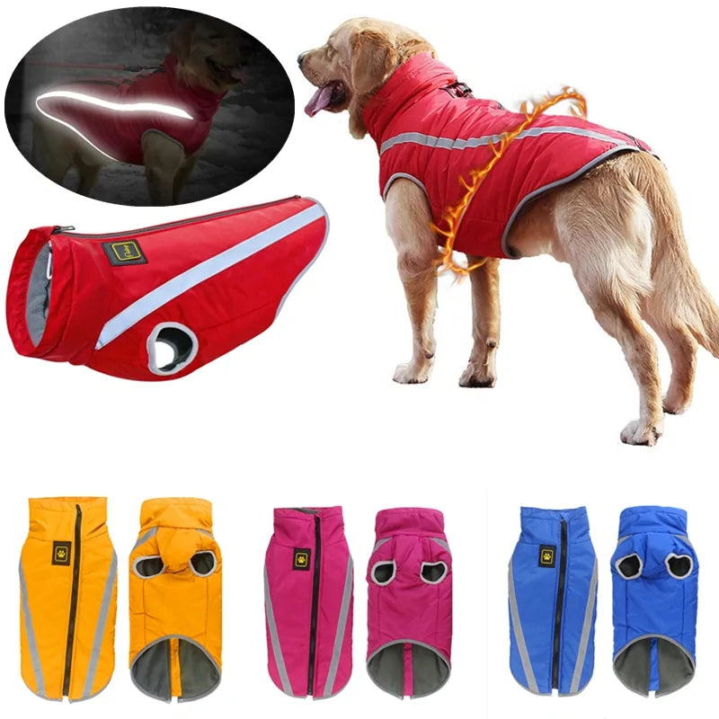 Windproof, Waterproof, Warm Dog Jacket.