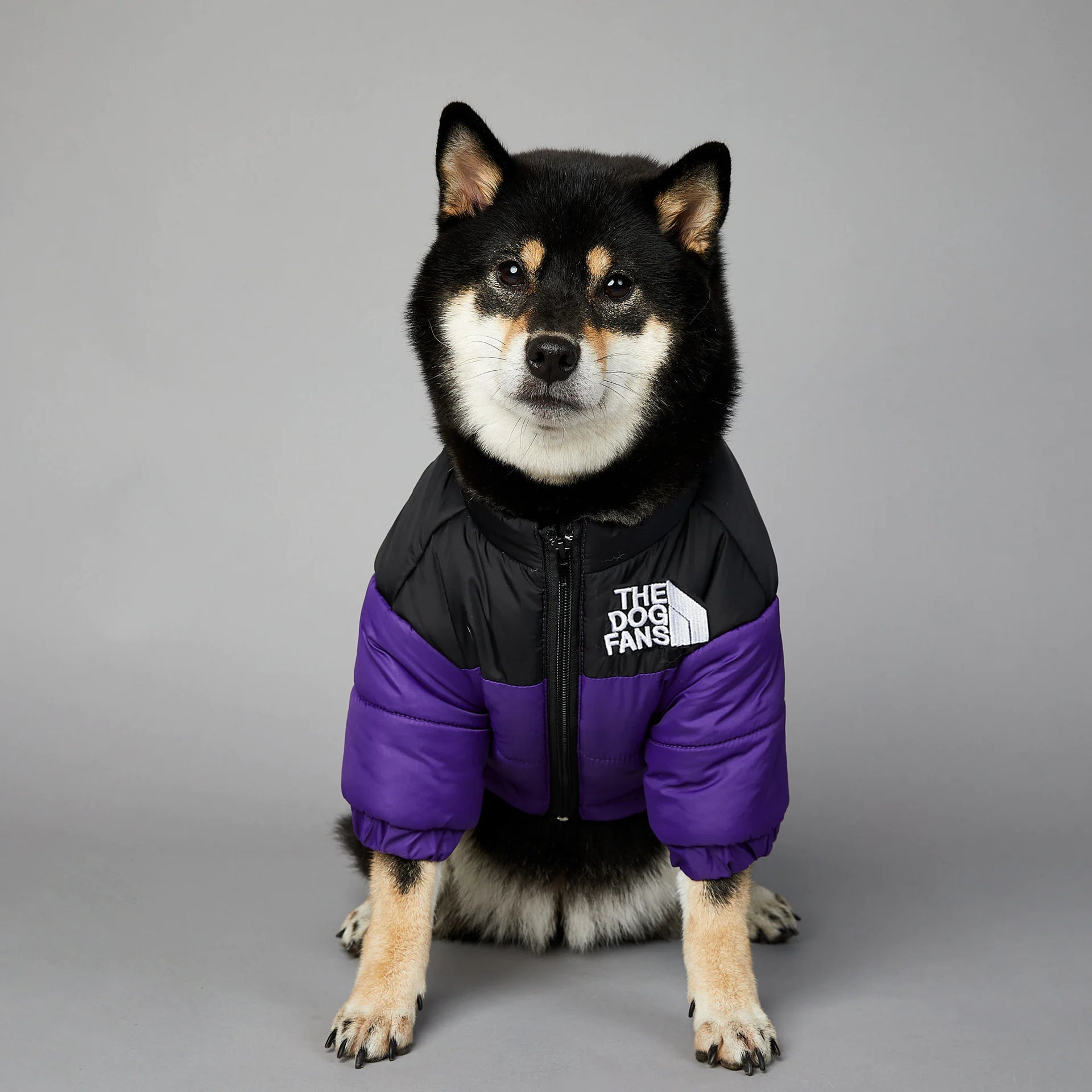 Warm Raincoat Puffer Jacket - dogs