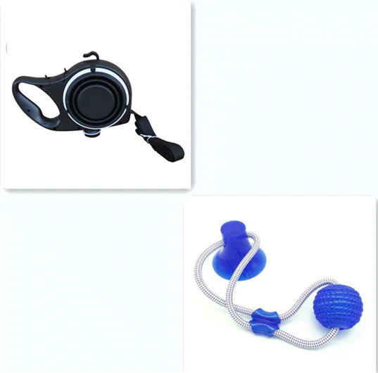 Multifunctional Dog Lead
