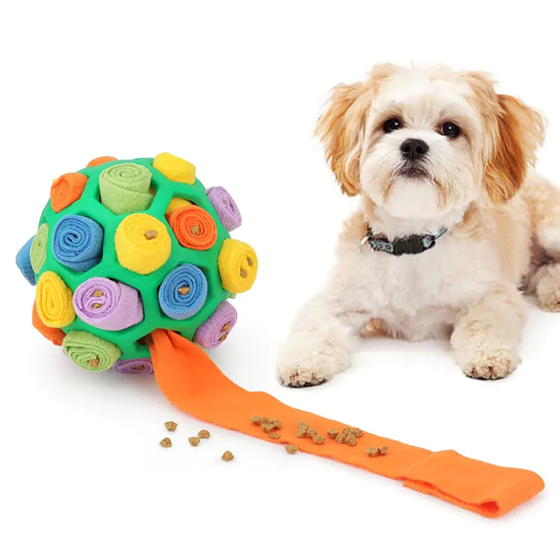 Dog Sniff Treat Ball