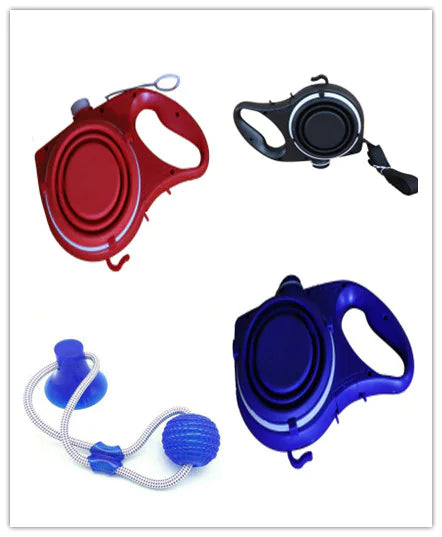 Multifunctional Dog Lead