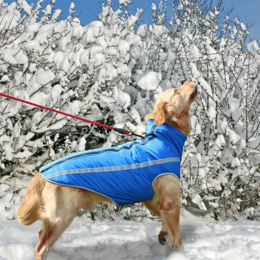 Windproof, Waterproof, Warm Dog Jacket.