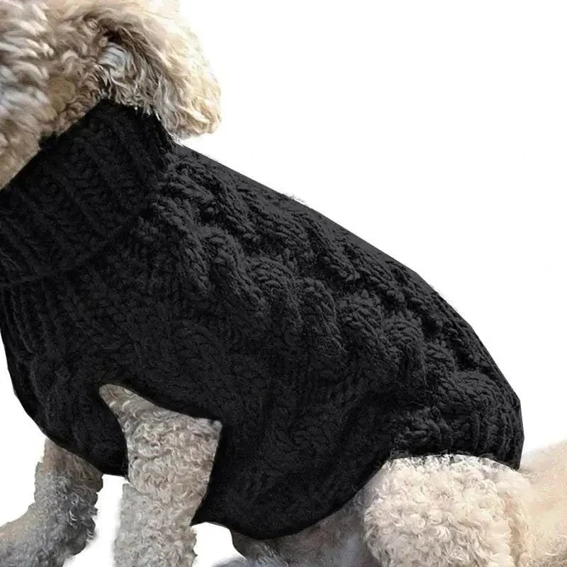 pet sweater