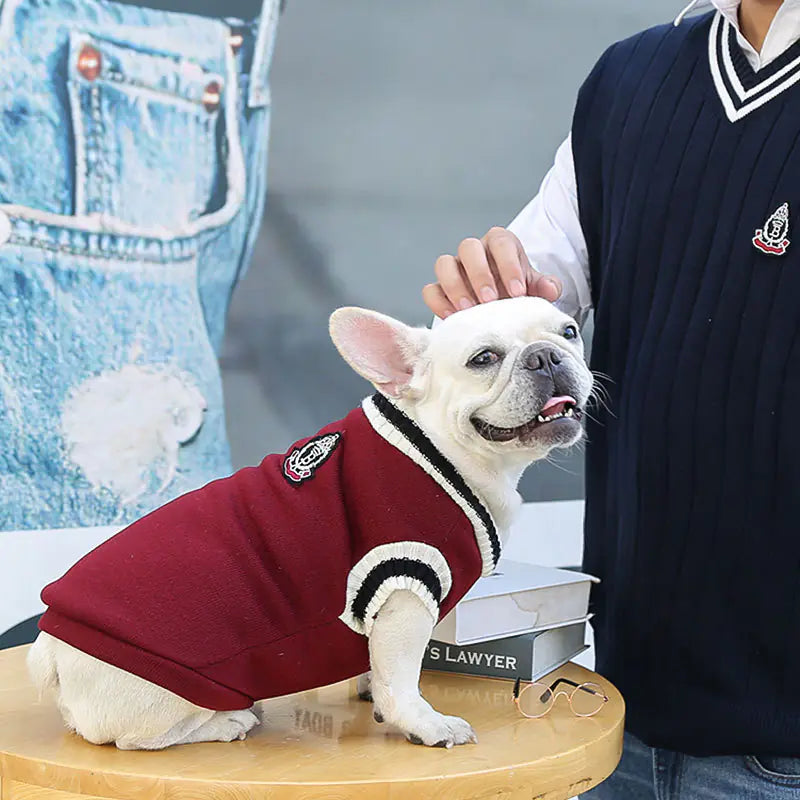 College Style Dog Jumper