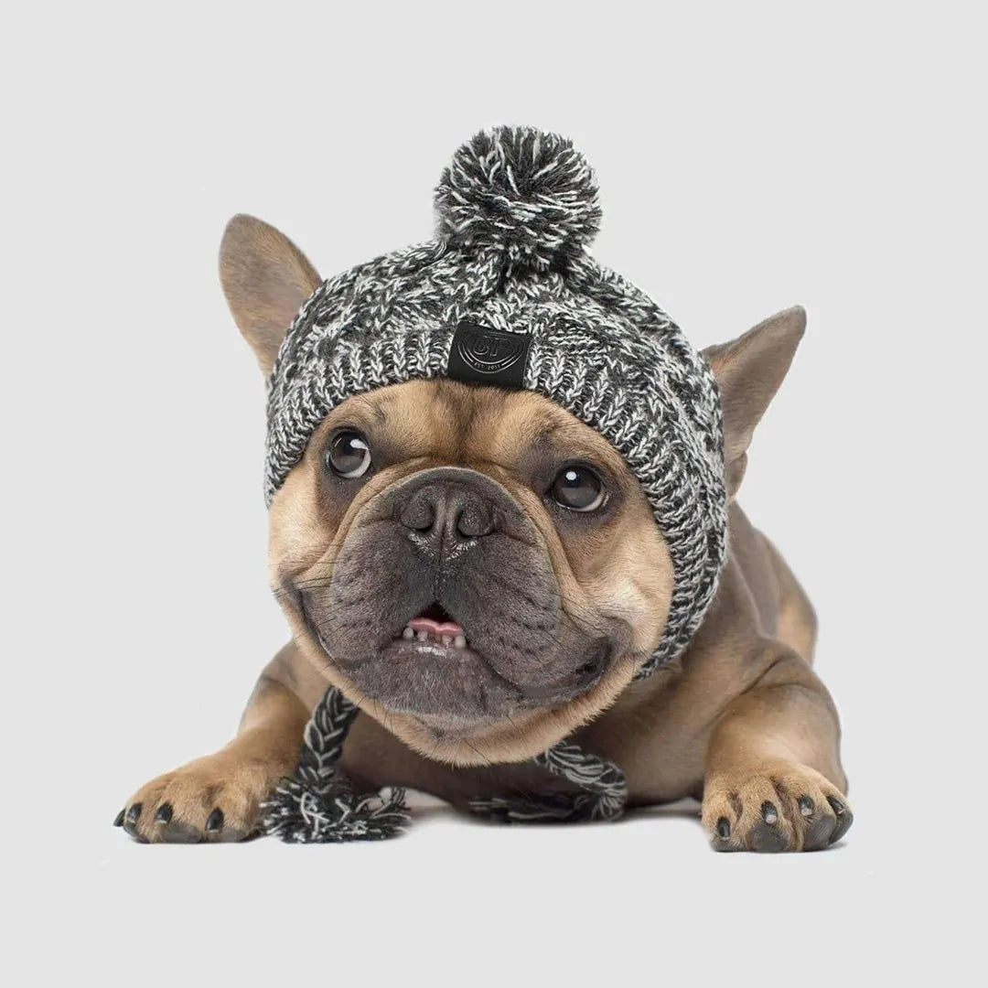 Dog Beanie