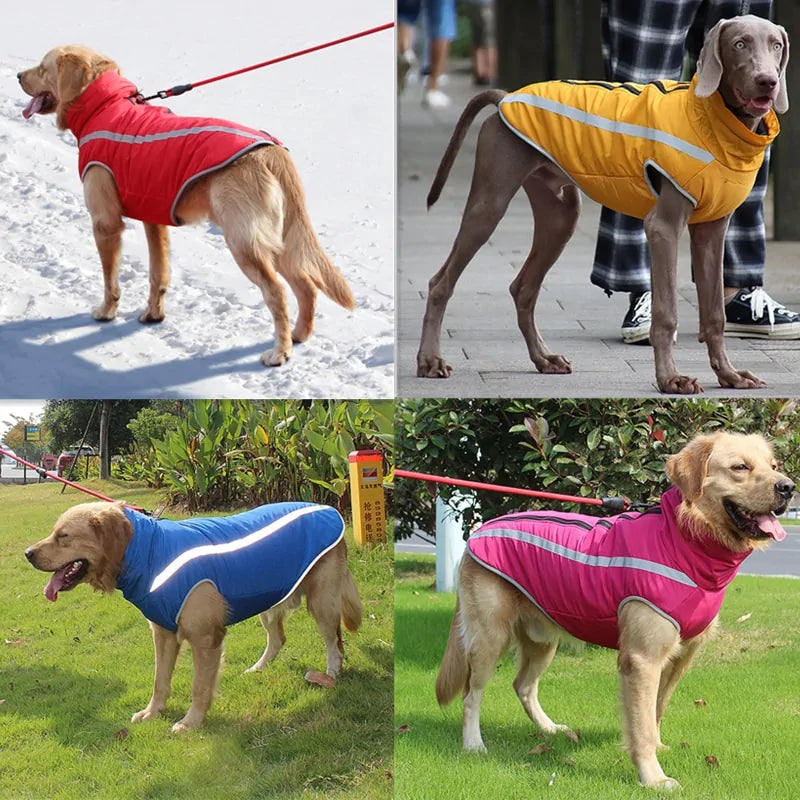 Windproof, Waterproof, Warm Dog Jacket.