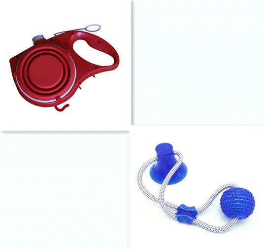 Multifunctional Dog Lead