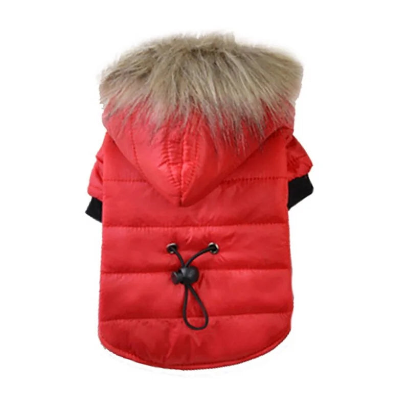 Fashionable Hooded Pet Jacket 