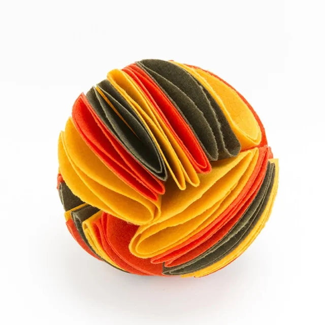 Sniff n Treat Ball