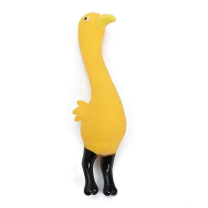 Squeaky Chew Toys
