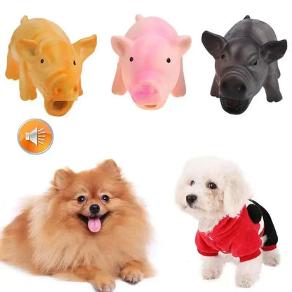 Squeaky Chew Toys