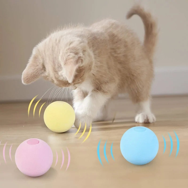 Interactive Catnip Ball
