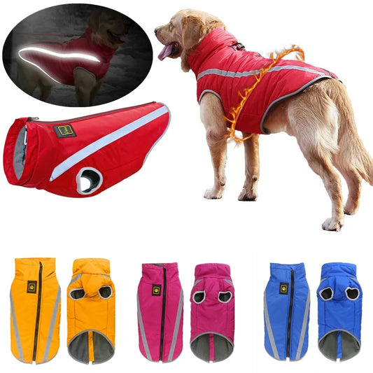 Windproof, Waterproof, Warm Dog Jacket.