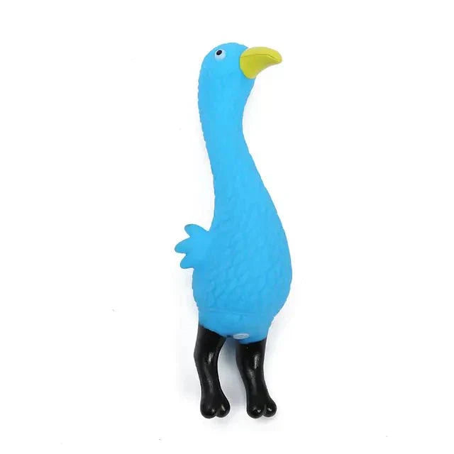 Squeaky Chew Toys