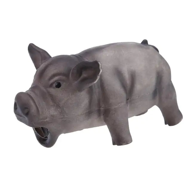 Squeaky Chew Toys