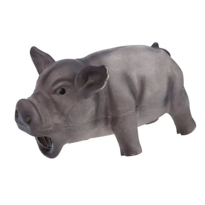 Squeaky Chew Toys