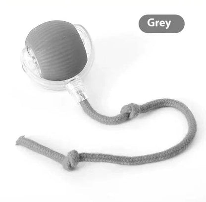 Interactive Cat Ball