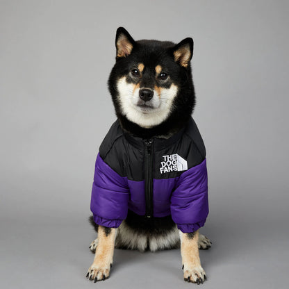 Warm Raincoat Puffer Jacket - dogs
