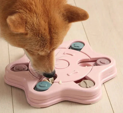 Puzzle Paw Toy
