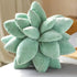 Plush Spiky Playmate