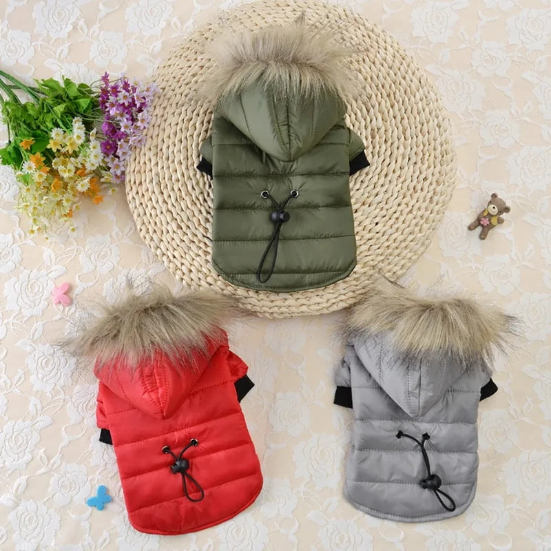 Fashionable Hooded Pet Jacket 