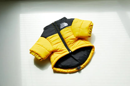 Warm Raincoat Puffer Jacket - dogs