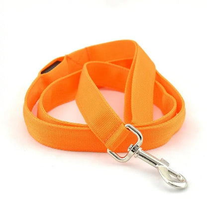 High-Visibility Dog Leash
