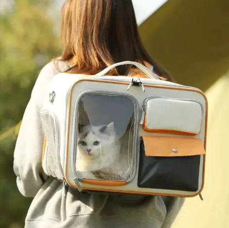 Cat Travel Backpack