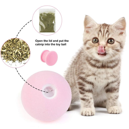 Interactive Catnip Ball