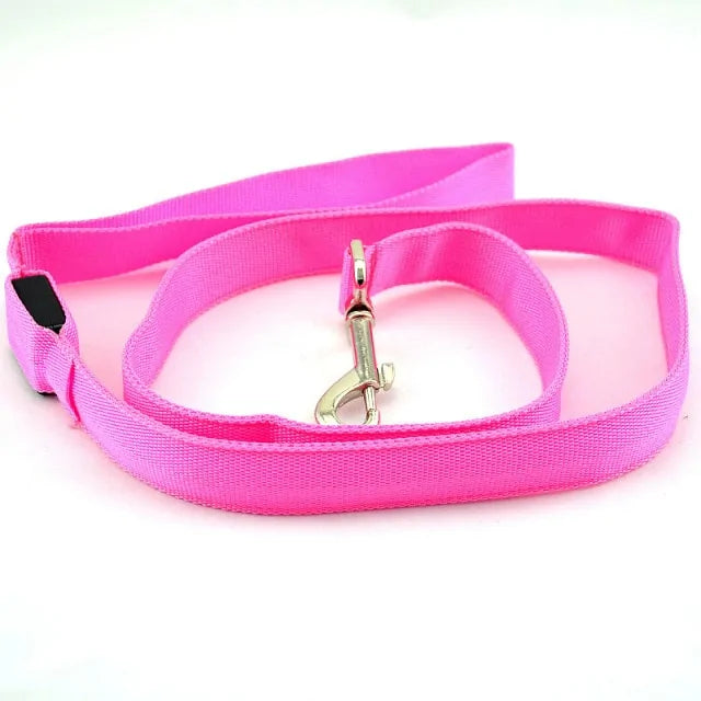 High-Visibility Dog Leash