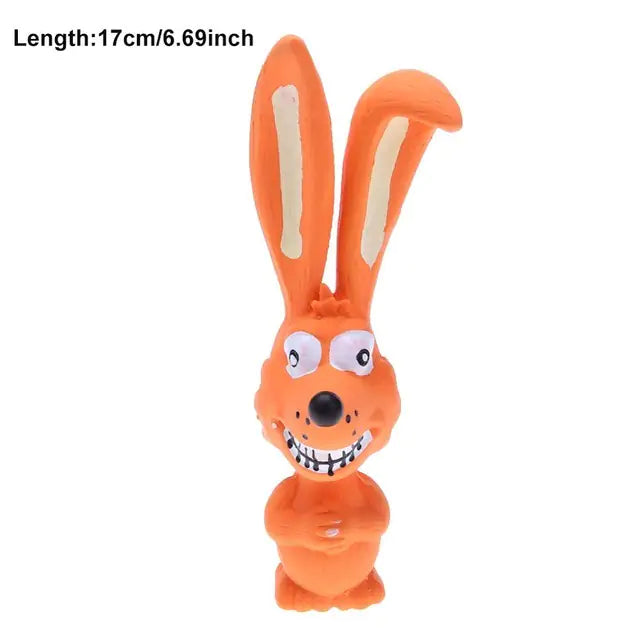 Squeaky Chew Toys