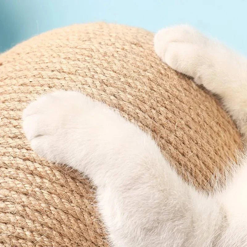 Fetch Cat Scratching Ball