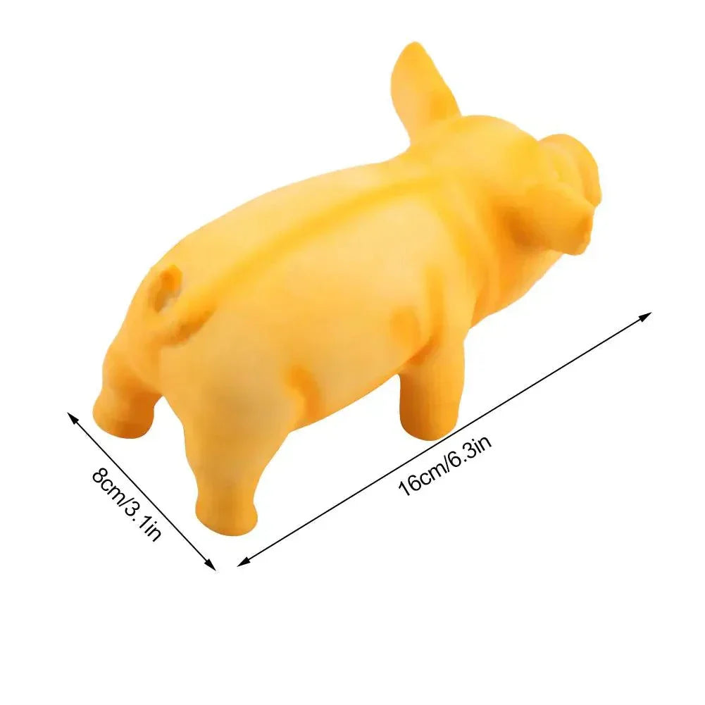 Squeaky Chew Toys