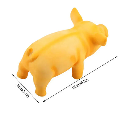 Squeaky Chew Toys