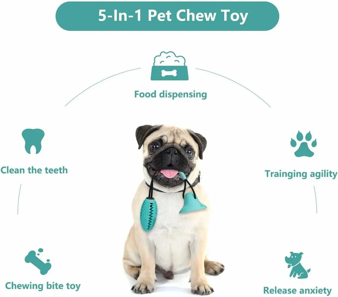 Multifunctional Dog Chew Toy