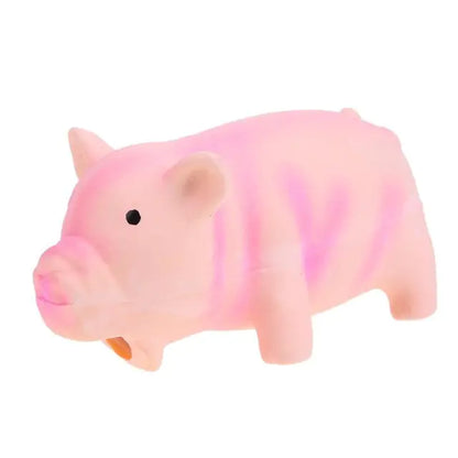Squeaky Chew Toys