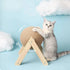 Fetch Cat Scratching Ball